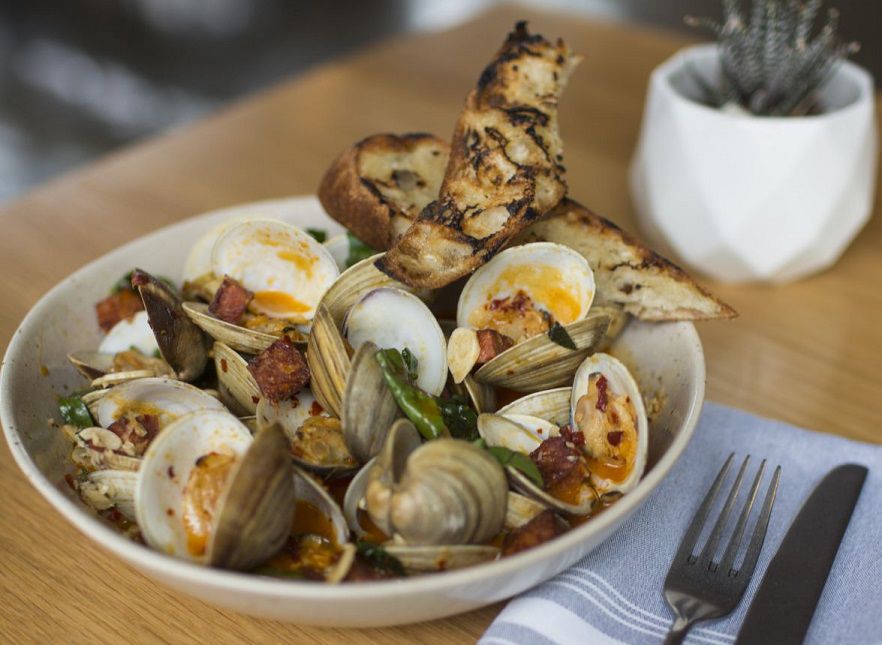 Yellowbelly clams